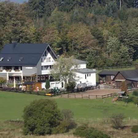 Ginsberger Heide Hotell Hilchenbach Rom bilde