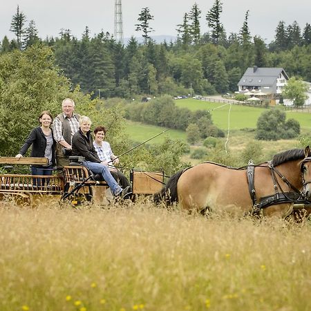 Ginsberger Heide Hotell Hilchenbach Eksteriør bilde