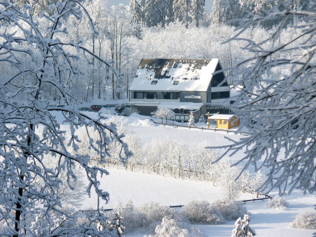 Ginsberger Heide Hotell Hilchenbach Eksteriør bilde