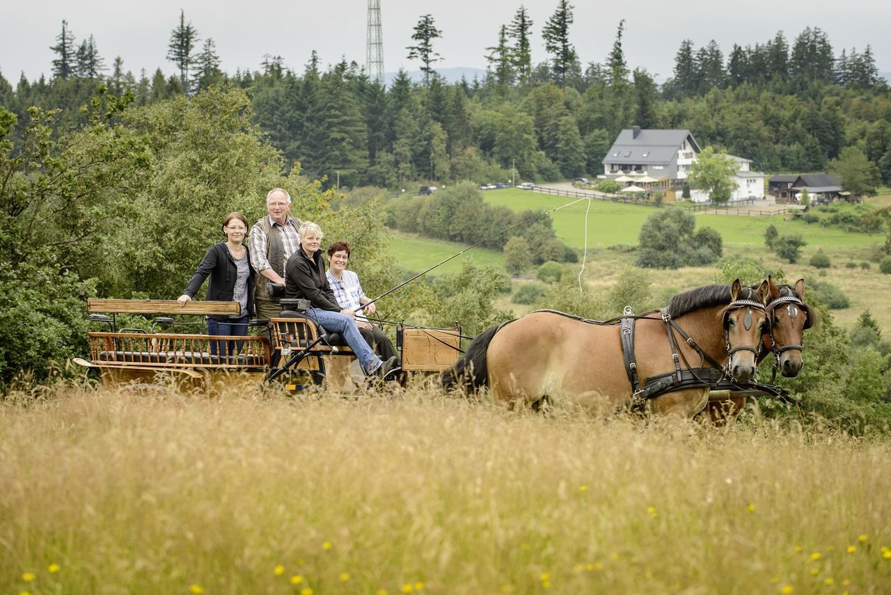 Ginsberger Heide Hotell Hilchenbach Eksteriør bilde